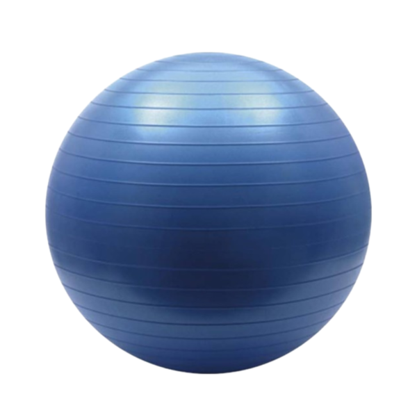 Bola Fisioball Fisiopauher 65cm Azul - Orthopauher