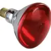 Lâmpada infravermelho Philips 110VX150W