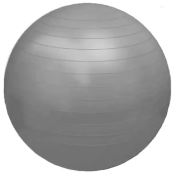 Bola Fisioball 75Cm Cinza - Orthopauher - Image 2